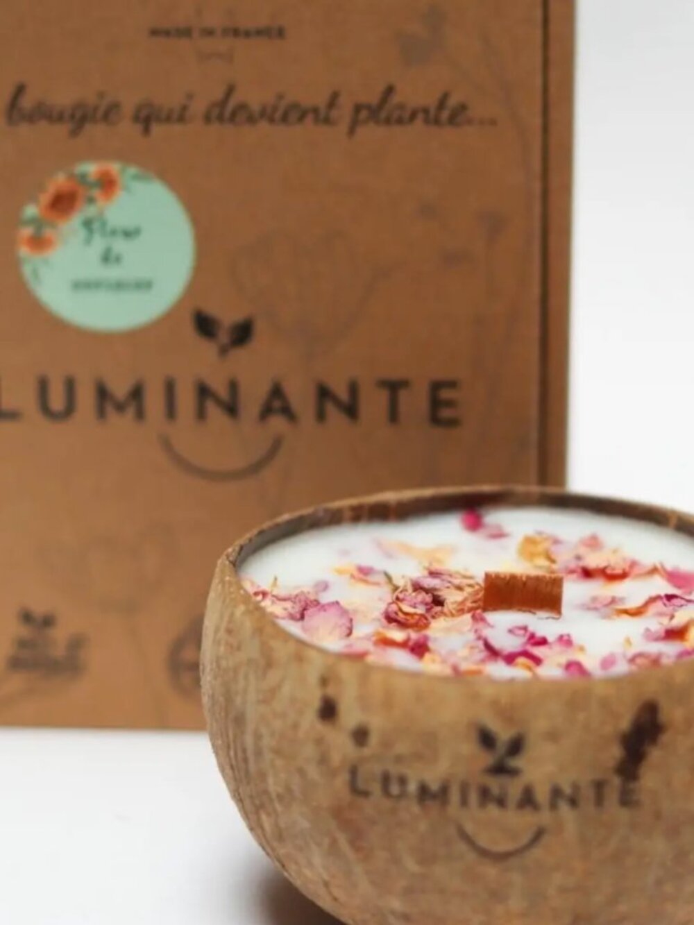 The Candle That Becomes A Plant Cherry Blossom Coconut Model